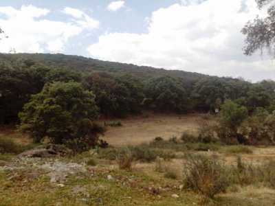 Residential Land For Sale in Jilotepec, Mexico