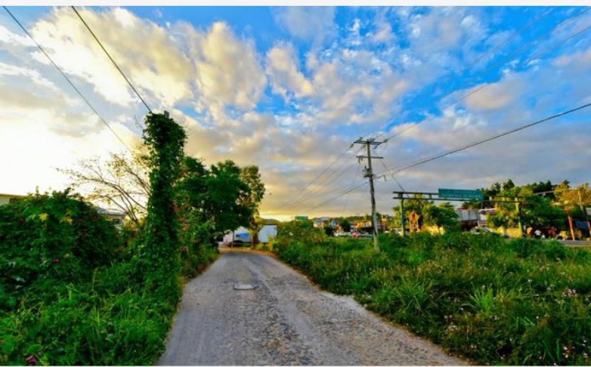 Picture of Residential Land For Sale in Compostela, Nayarit, Mexico