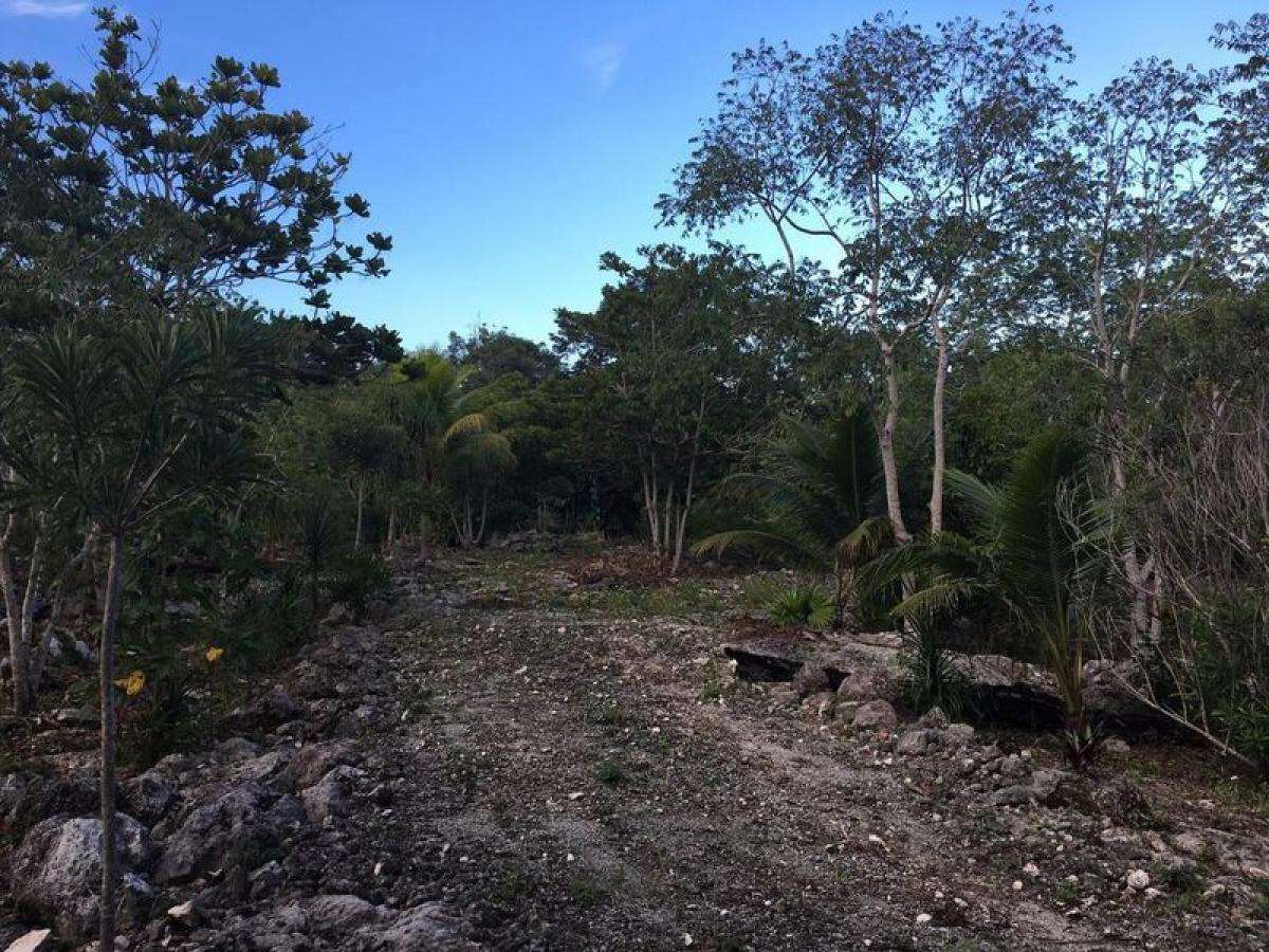 Picture of Development Site For Sale in Quintana Roo, Quintana Roo, Mexico