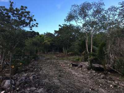 Development Site For Sale in Quintana Roo, Mexico