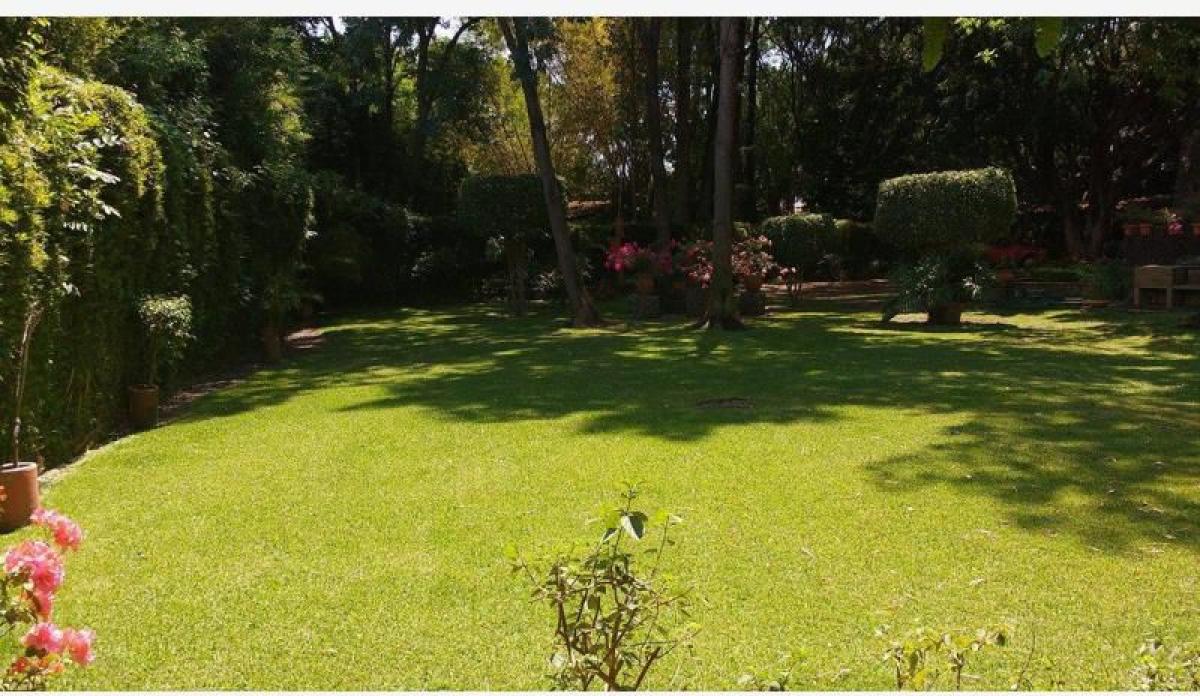 Picture of Residential Land For Sale in Jiutepec, Morelos, Mexico