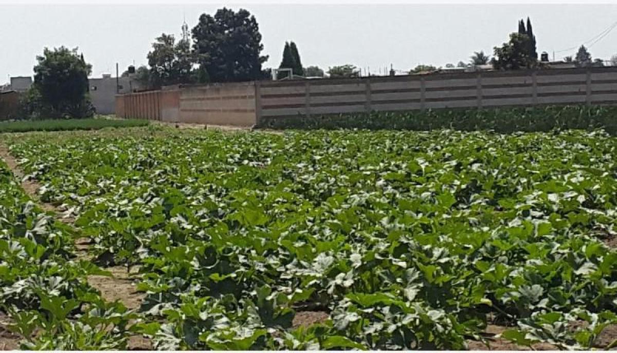 Picture of Residential Land For Sale in San Pedro Cholula, Puebla, Mexico