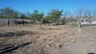 Development Site For Sale in Chihuahua, Mexico