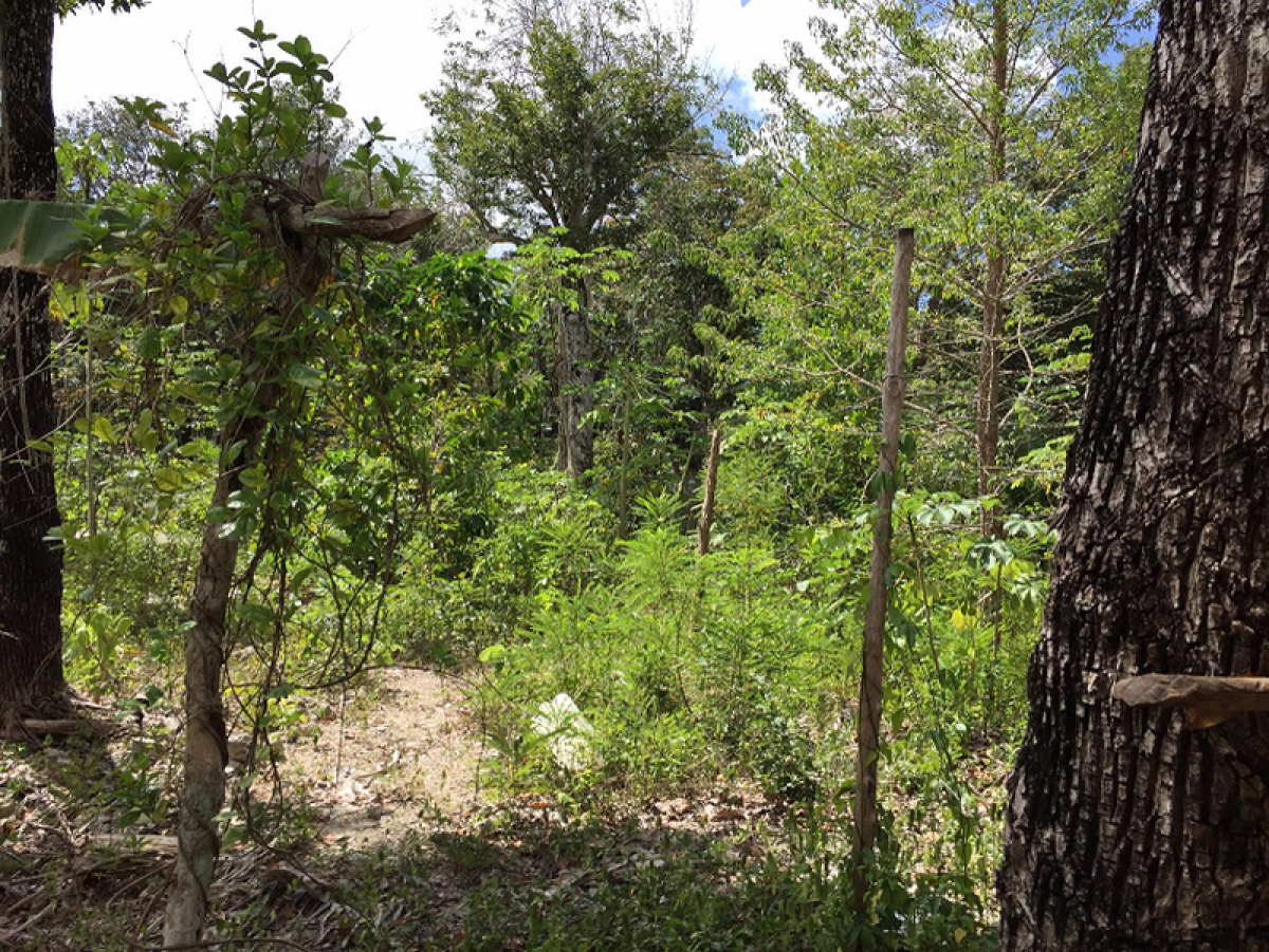 Picture of Development Site For Sale in Solidaridad, Quintana Roo, Mexico