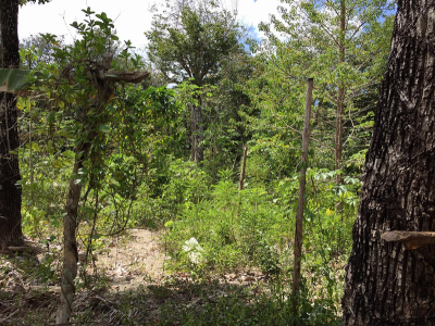 Development Site For Sale in Solidaridad, Mexico