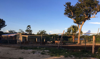 Development Site For Sale in Quintana Roo, Mexico