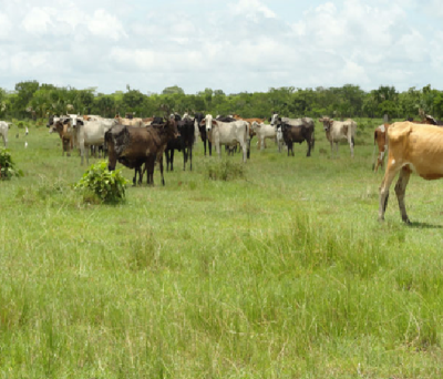 Development Site For Sale in Campeche, Mexico
