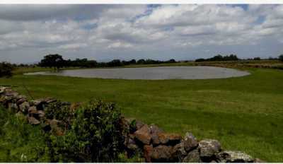 Residential Land For Sale in Amealco De Bonfil, Mexico