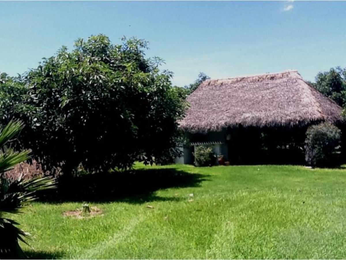 Picture of Residential Land For Sale in Atlixco, Puebla, Mexico