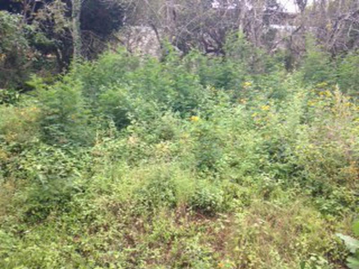 Picture of Residential Land For Sale in Valle De Bravo, Mexico, Mexico