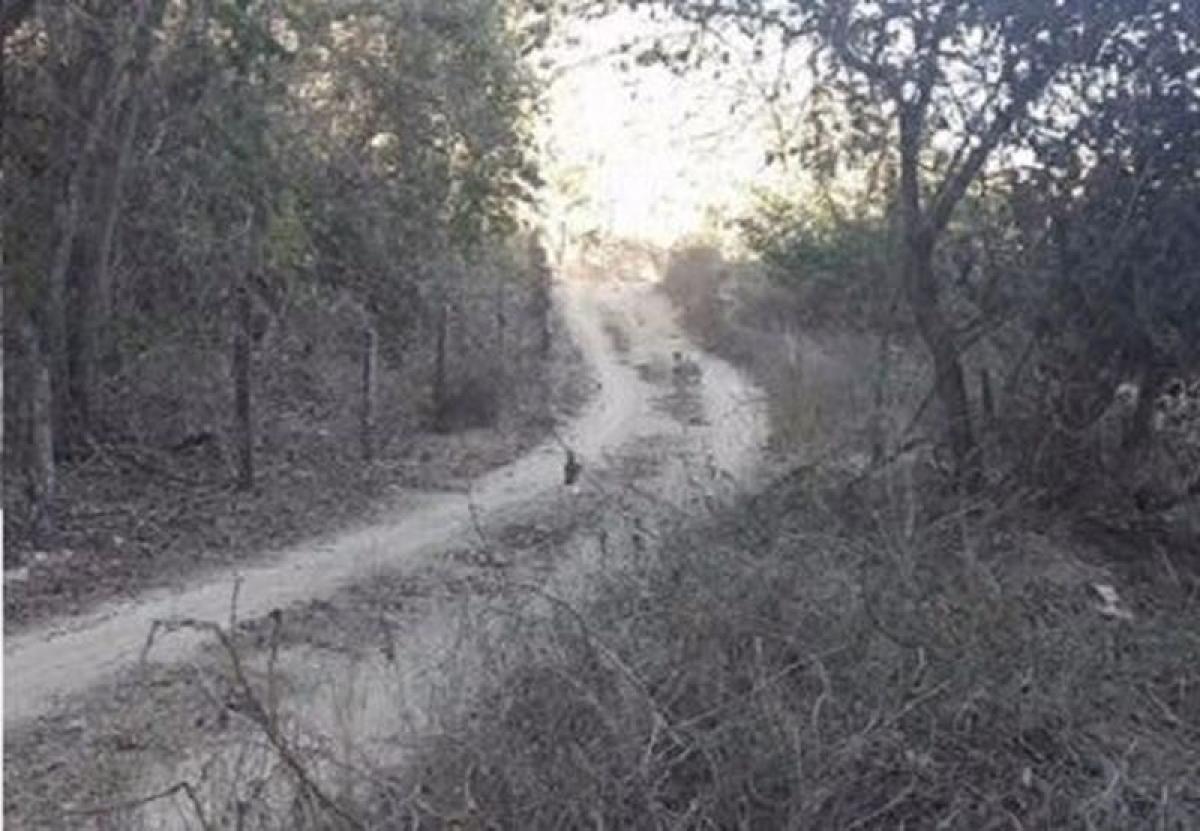 Picture of Residential Land For Sale in Oaxaca, Oaxaca, Mexico