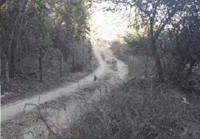 Residential Land For Sale in Oaxaca, Mexico