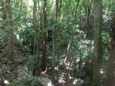 Development Site For Sale in Quintana Roo, Mexico