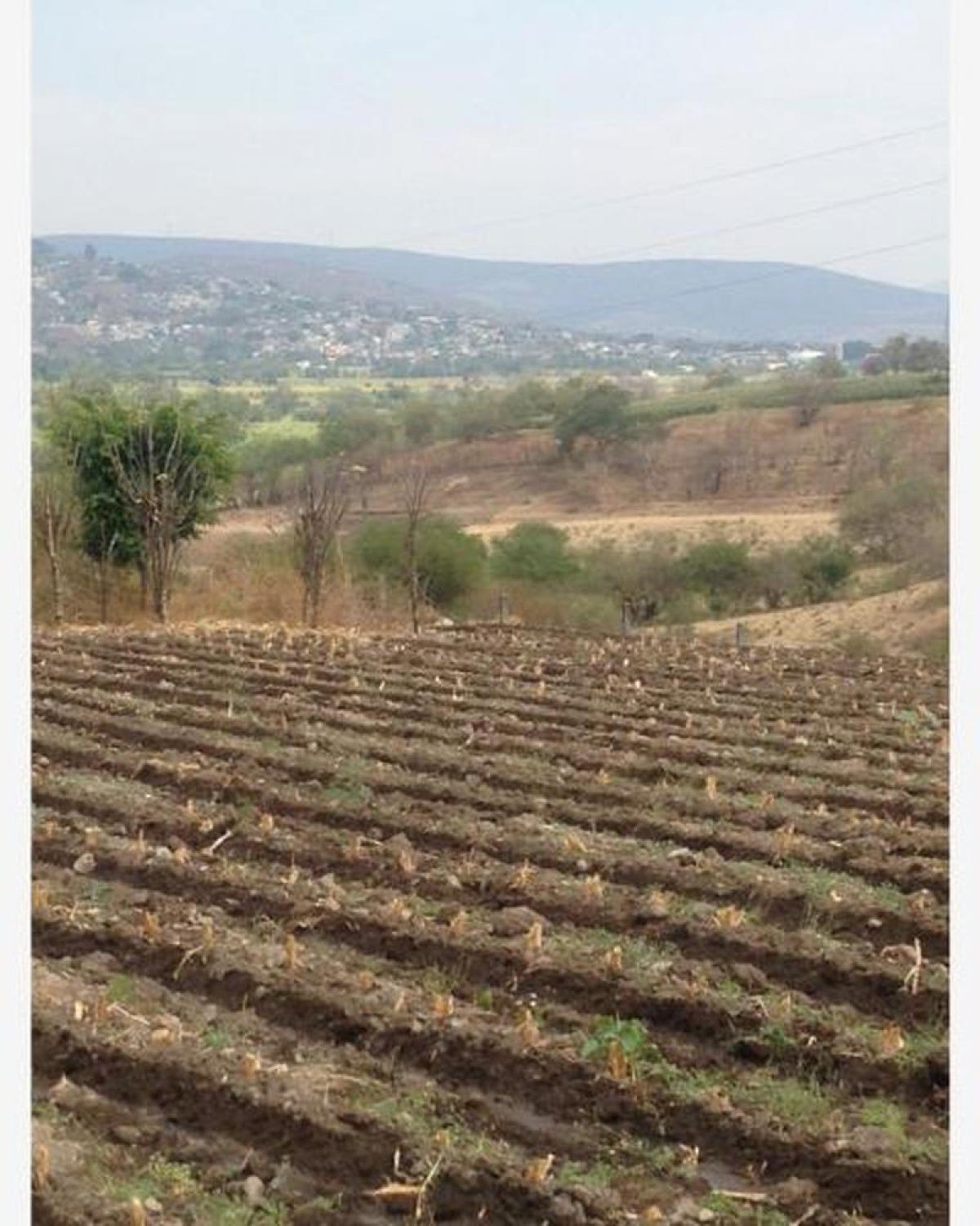 Picture of Residential Land For Sale in Cuautla, Jalisco, Mexico