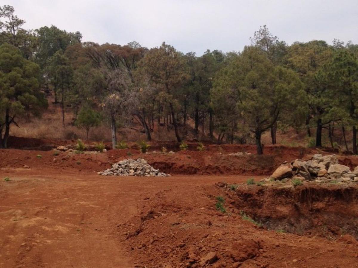 Picture of Residential Land For Sale in Temascaltepec, Mexico, Mexico