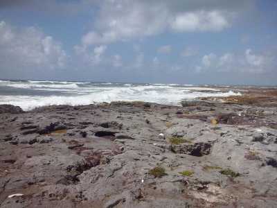 Development Site For Sale in Othon P. Blanco, Mexico