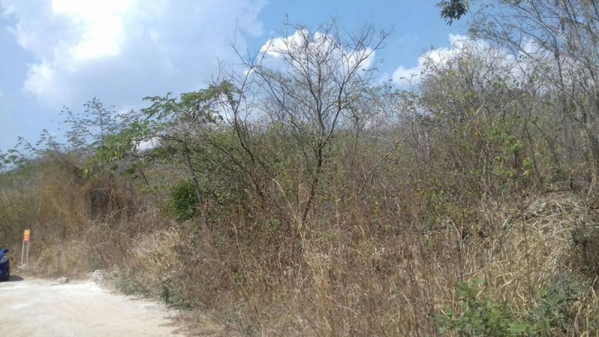 Picture of Residential Land For Sale in Chiapas, Chiapas, Mexico