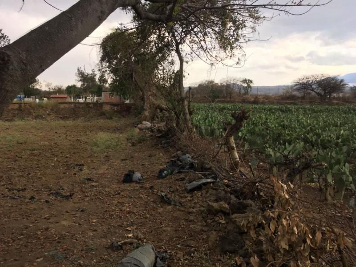 Picture of Residential Land For Sale in Tlayacapan, Morelos, Mexico