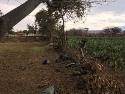 Residential Land For Sale in Tlayacapan, Mexico