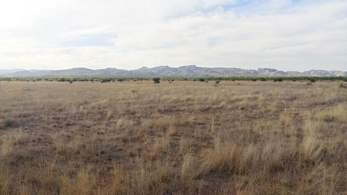 Picture of Development Site For Sale in Chihuahua, Chihuahua, Mexico