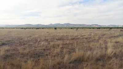 Development Site For Sale in Chihuahua, Mexico