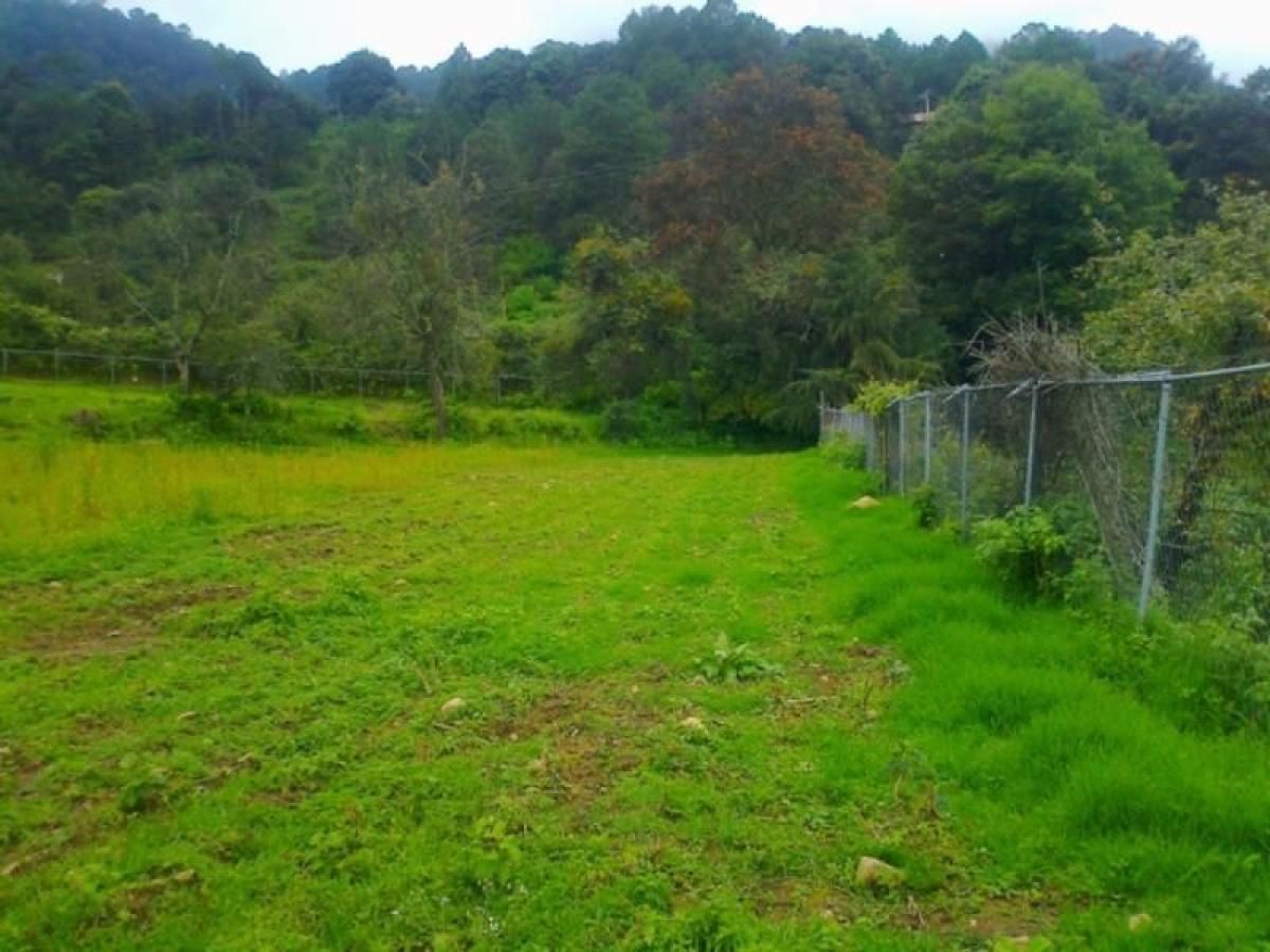 Picture of Residential Land For Sale in Donato Guerra, Mexico, Mexico