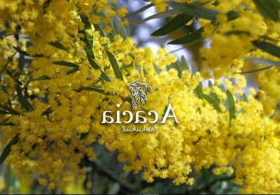 Residential Land For Sale in Yaxkukul, Mexico