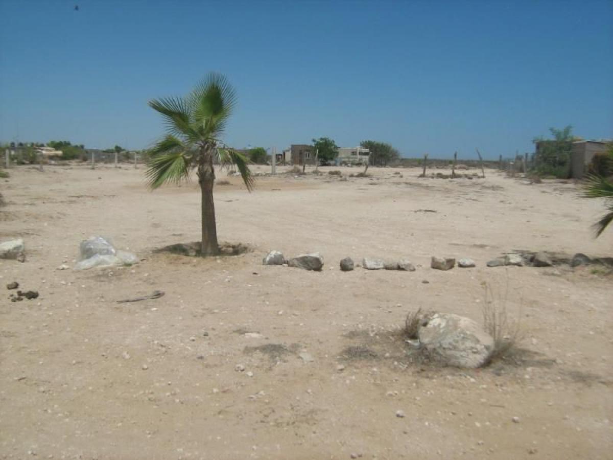 Picture of Residential Land For Sale in Comondu, Baja California Sur, Mexico