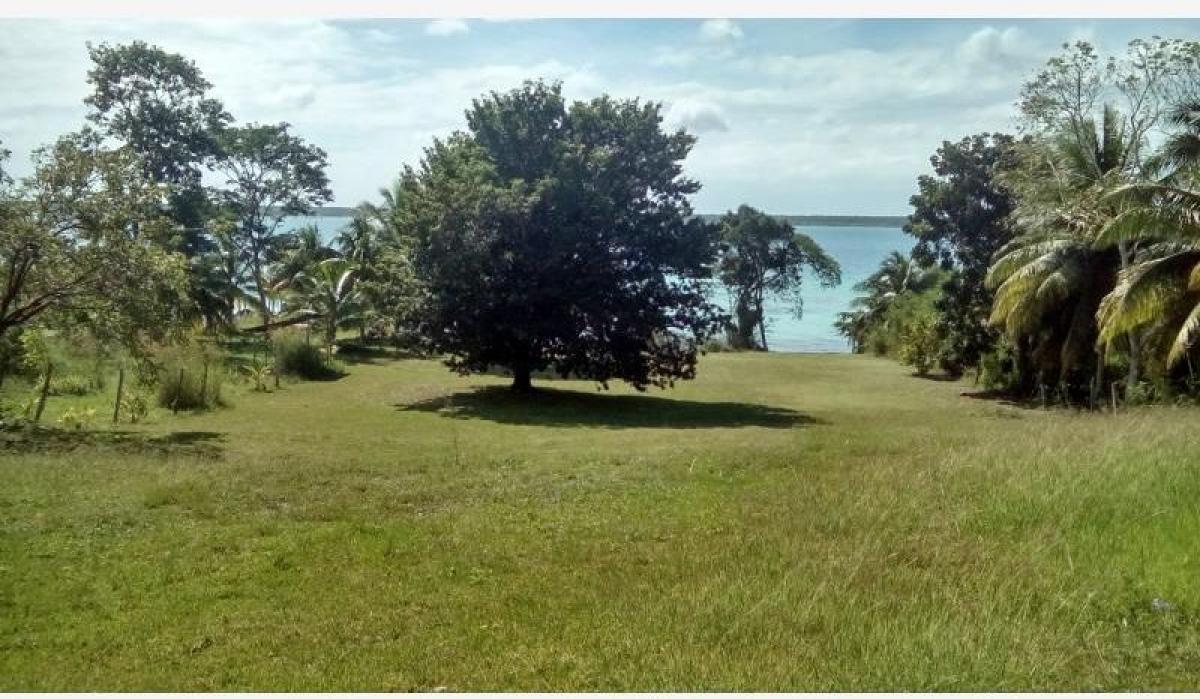 Picture of Residential Land For Sale in Quintana Roo, Quintana Roo, Mexico
