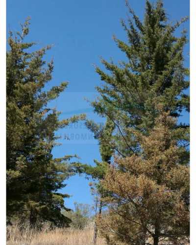 Residential Land For Sale in Amealco De Bonfil, Mexico