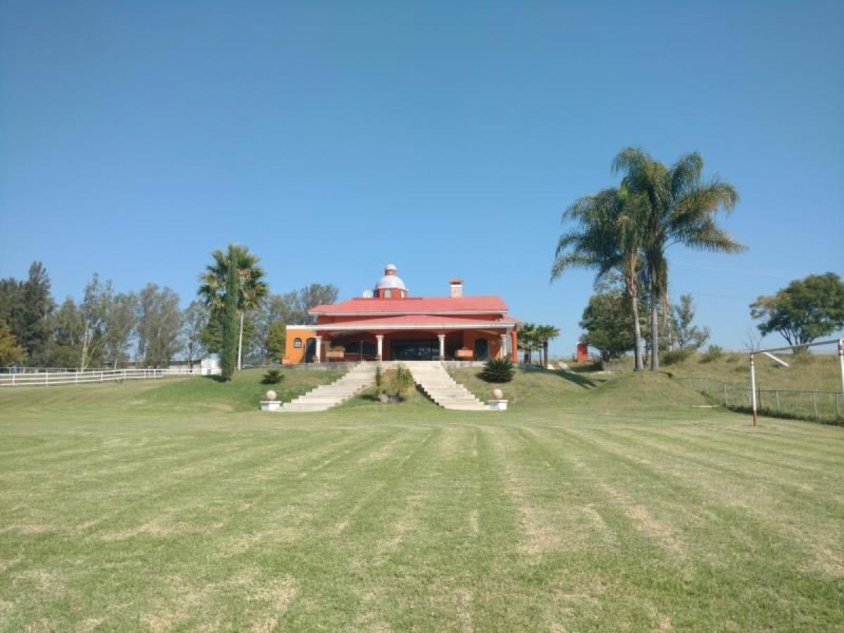 San Isidro Mazatepec, Tala, Jalisco, Mexico Homes For Sale at GLOBAL