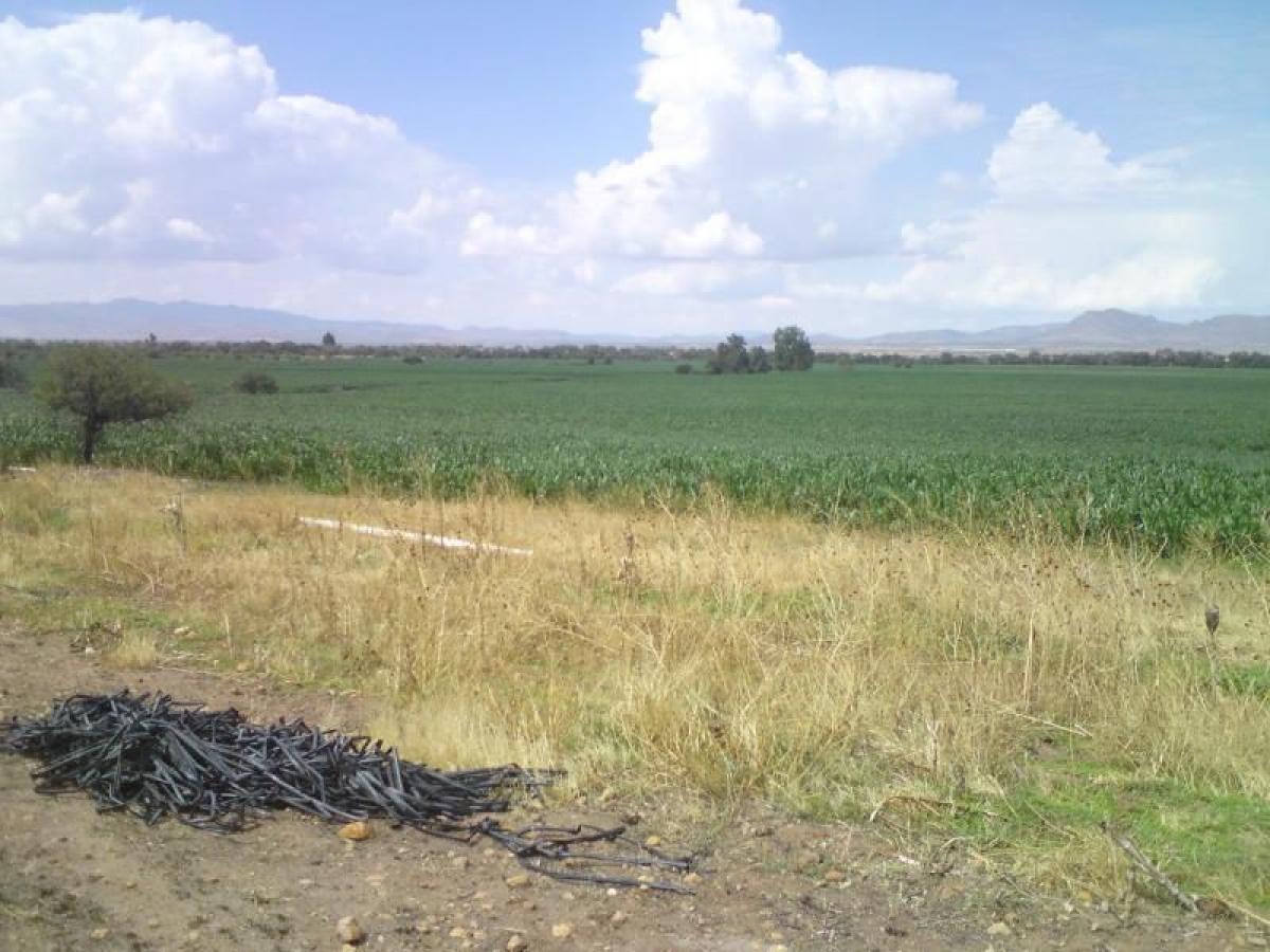 Picture of Residential Land For Sale in Zacatecas, Zacatecas, Mexico