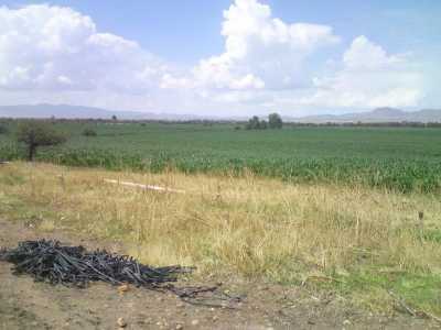 Residential Land For Sale in Zacatecas, Mexico