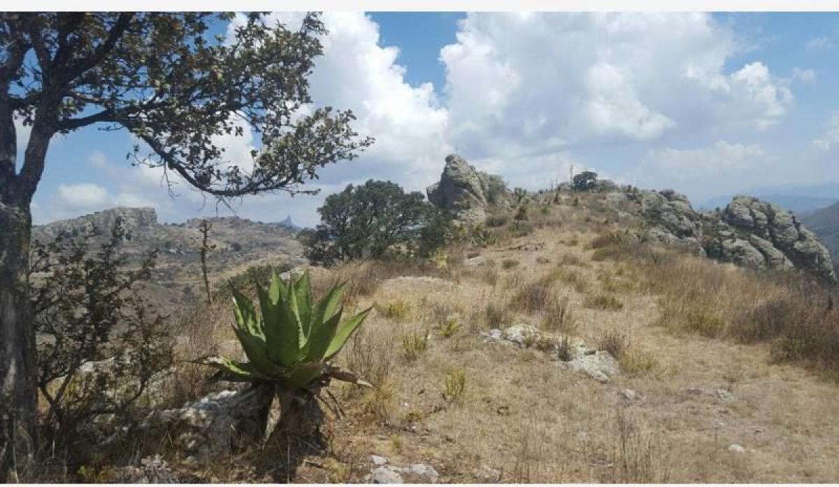 Picture of Residential Land For Sale in Mineral Del Chico, Hidalgo, Mexico
