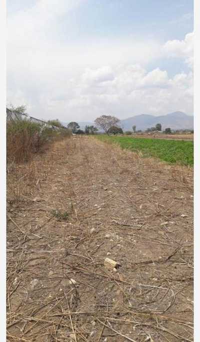 Residential Land For Sale in San Sebastian Abasolo, Mexico