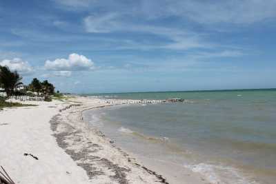 Residential Land For Sale in Dzemul, Mexico