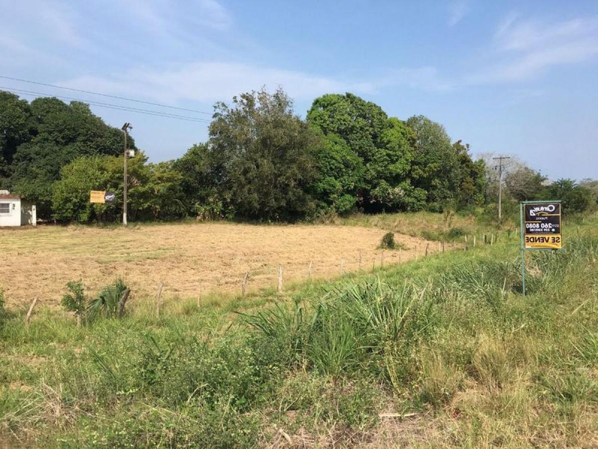 Picture of Development Site For Sale in Tijuana, Baja California, Mexico