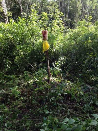 Development Site For Sale in Benito Juarez, Mexico