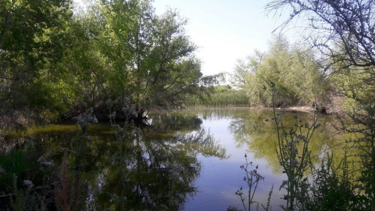 Picture of Development Site For Sale in Aldama, Chiapas, Mexico