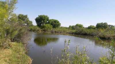 Development Site For Sale in Aldama, Mexico