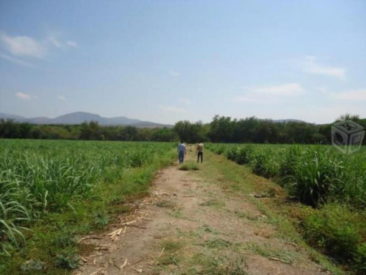 Picture of Residential Land For Sale in Jojutla, Morelos, Mexico