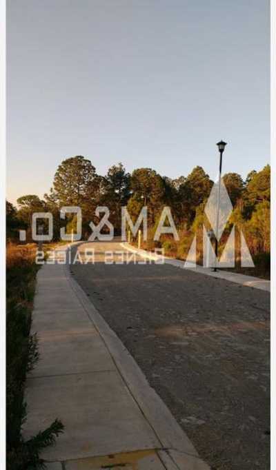 Residential Land For Sale in Amacueca, Mexico