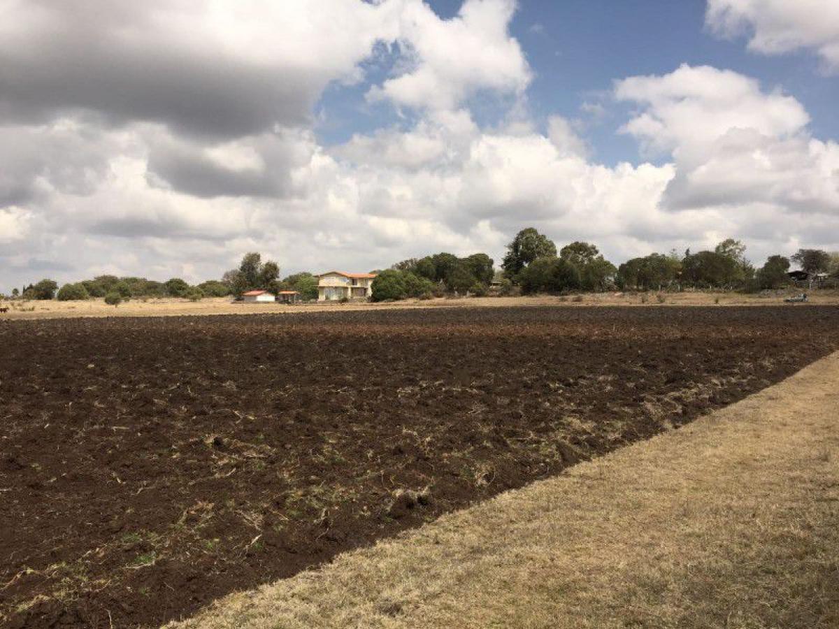 Picture of Residential Land For Sale in Huasca De Ocampo, Hidalgo, Mexico