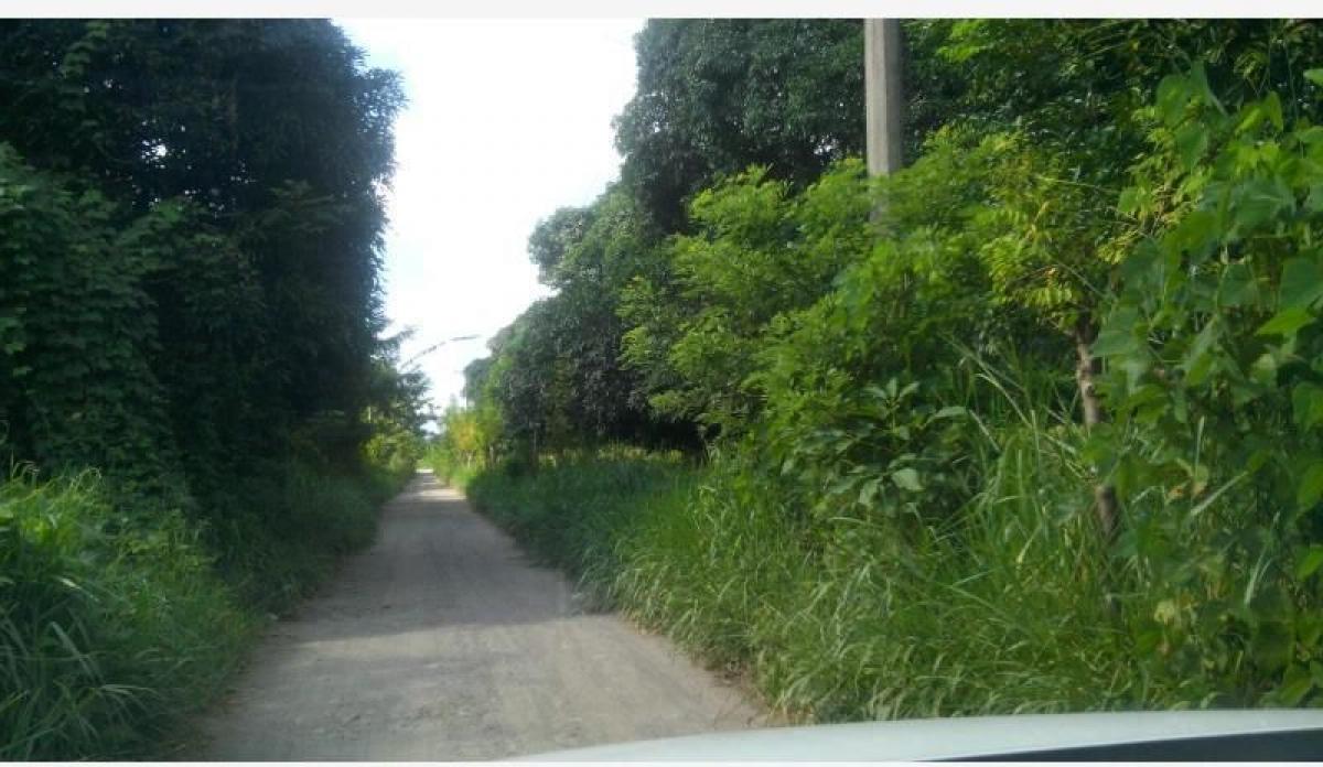 Picture of Residential Land For Sale in Tijuana, Baja California, Mexico