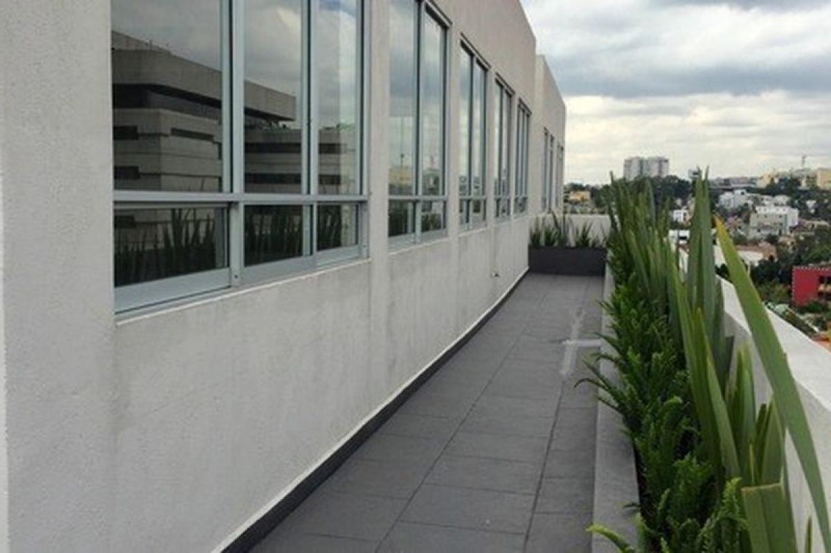 Picture of Office For Sale in Álvaro Obregon, Mexico City, Mexico