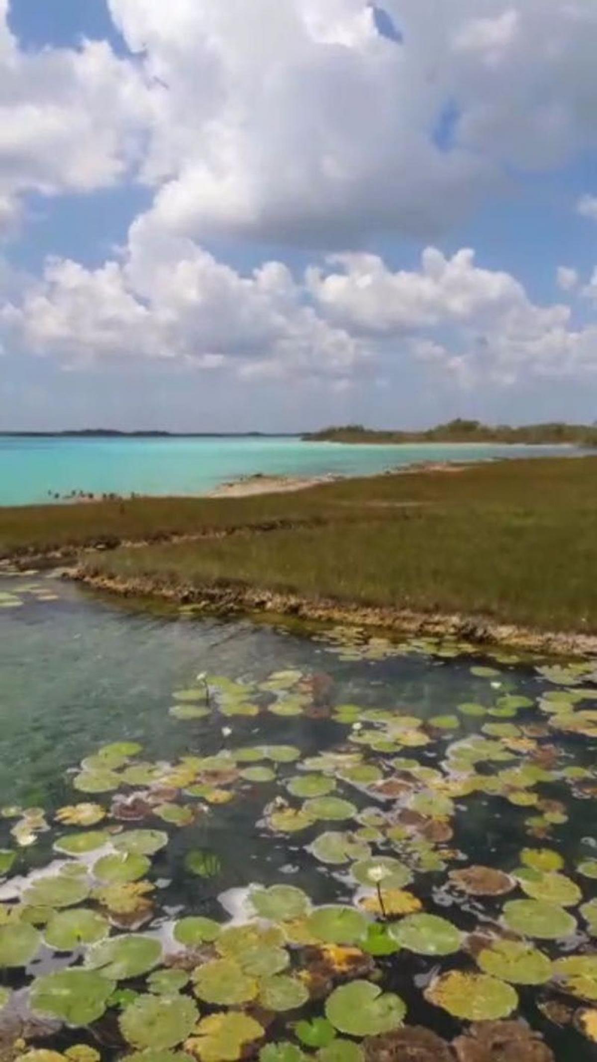 Picture of Residential Land For Sale in Othon P. Blanco, Quintana Roo, Mexico