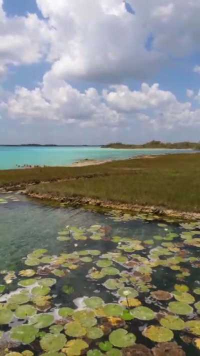 Residential Land For Sale in Othon P. Blanco, Mexico