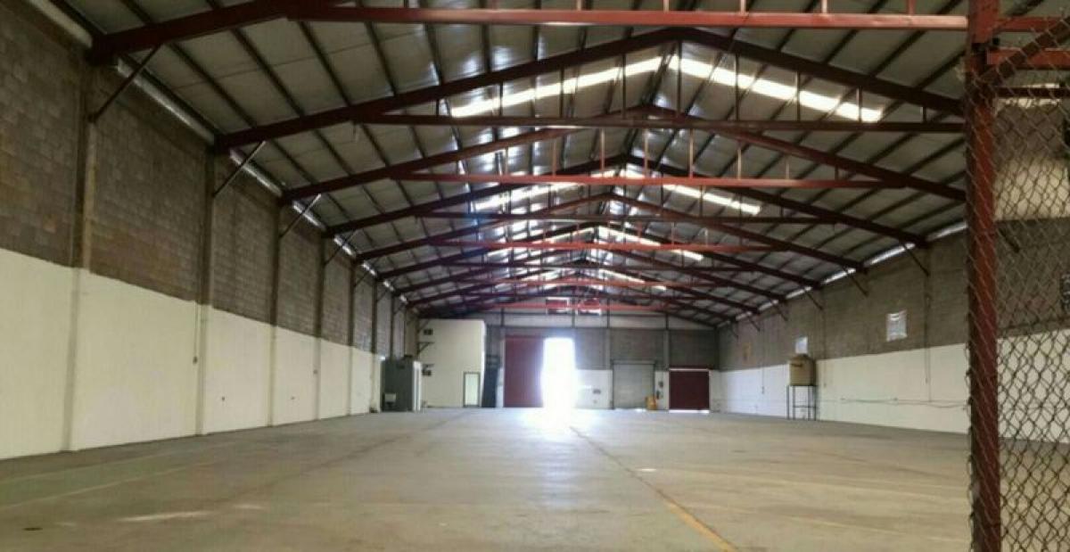 Picture of Penthouse For Sale in Sonora, Sonora, Mexico