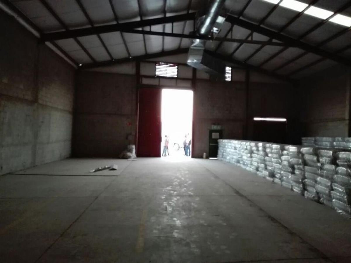 Picture of Penthouse For Sale in Sonora, Sonora, Mexico