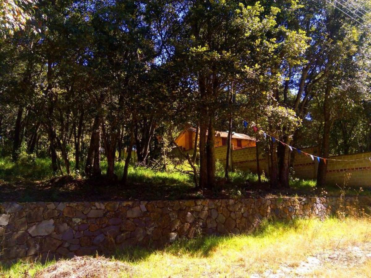 Picture of Residential Land For Sale in Villa Del Carbon, Mexico, Mexico